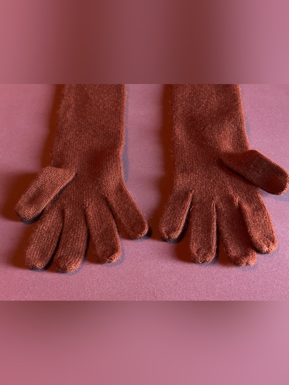 Portolano 100% Cashmere Long Gloves - Picture 6 of 8